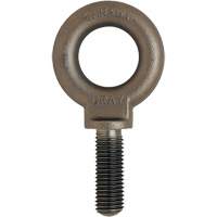 Eye Bolt, 3/4" Dia., 1" L, Uncoated Natural Finish, 650 lbs. (0.325 tons) Capacity YC119 | Industrial Sales