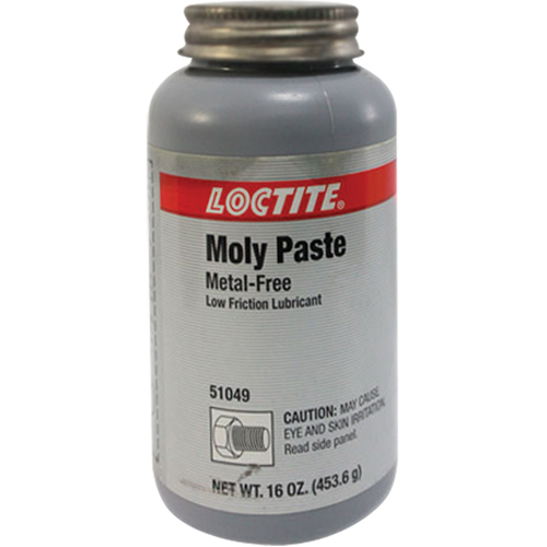 P&acirc;te en moly, 518 g, 750°F (400°C) temp&eacute;rature efficace max. Industrial Sales