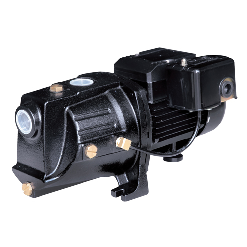 Dual Voltage Cast Iron Shallow Well Jet Pump, 230 V, 710 GPH, 1/2 HP Industrial Sales