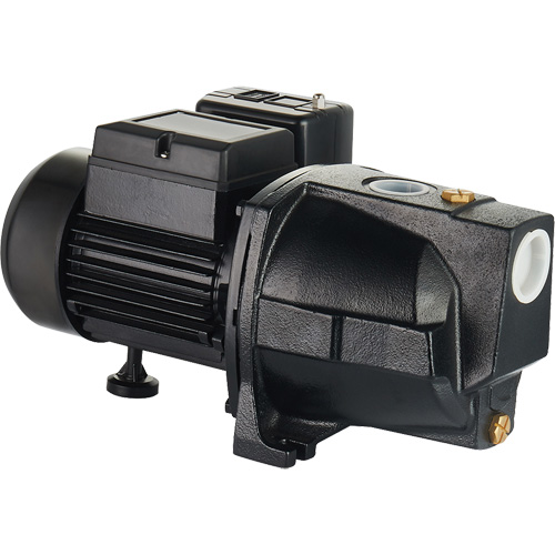 Dual Voltage Cast Iron Shallow Well Jet Pump, 115 V/230 V, 1100 GPH, 1 HP Industrial Sales