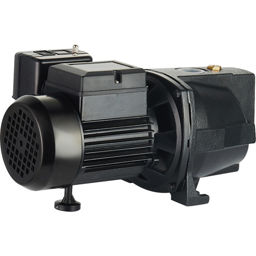 Dual Voltage Cast Iron Shallow Well Jet Pump, 115 V/230 V, 1100 GPH, 1 HP Industrial Sales