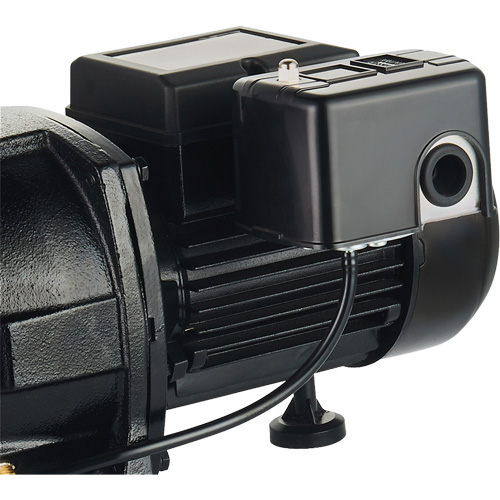 Dual Voltage Cast Iron Shallow Well Jet Pump, 115 V/230 V, 1100 GPH, 1 HP Industrial Sales