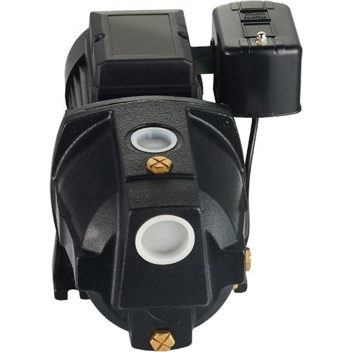 Dual Voltage Cast Iron Shallow Well Jet Pump, 115 V/230 V, 1100 GPH, 1 HP Industrial Sales