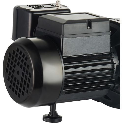 Dual Voltage Cast Iron Shallow Well Jet Pump, 115 V/230 V, 1100 GPH, 1 HP Industrial Sales