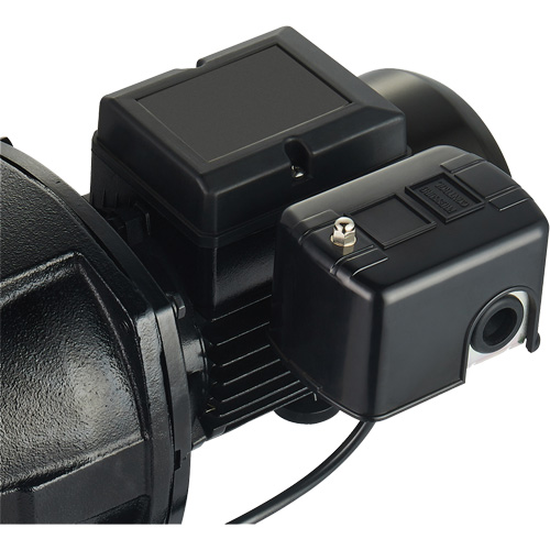 Dual Voltage Cast Iron Shallow Well Jet Pump, 115 V/230 V, 1100 GPH, 1 HP Industrial Sales