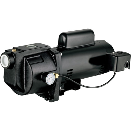 Pompe &agrave; jet en fonte &agrave; double tension pour puit peu profond, 115 V/230 V, 1260 gal./h, 1 CV Industrial Sales
