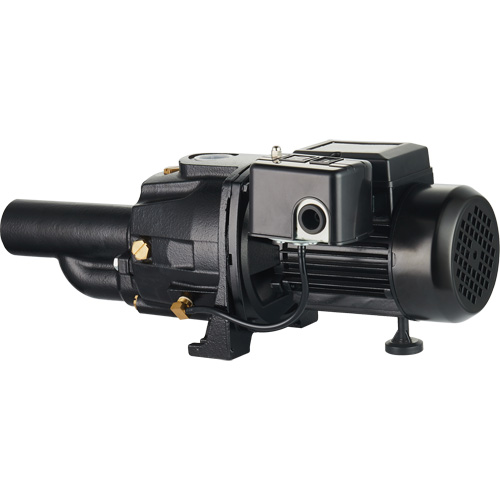 Dual Voltage Cast Iron Convertible Jet Pump, 115 V/230 V, 1100 GPH, 1/2 HP Industrial Sales