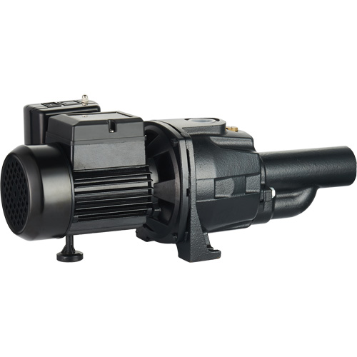 Dual Voltage Cast Iron Convertible Jet Pump, 115 V/230 V, 1100 GPH, 1/2 HP Industrial Sales