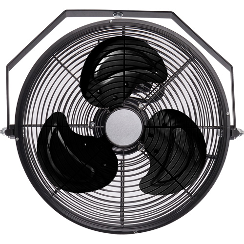 Industrial Workstation Fan, 12" Dia., 3 Speeds Industrial Sales