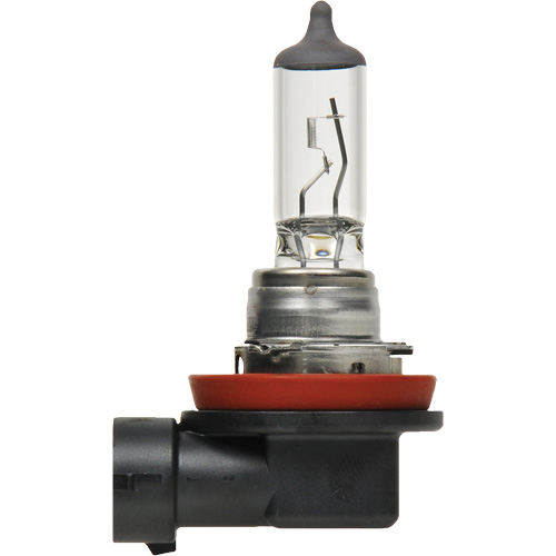 H8 Basic Headlight Bulb, Halogen, 35 W, Off White Industrial Sales