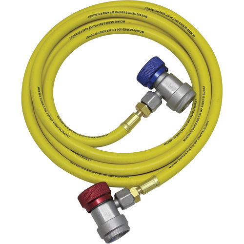 Ensemble flexible de rinçage pour syst&egrave;me de climatisation R134a Industrial Sales