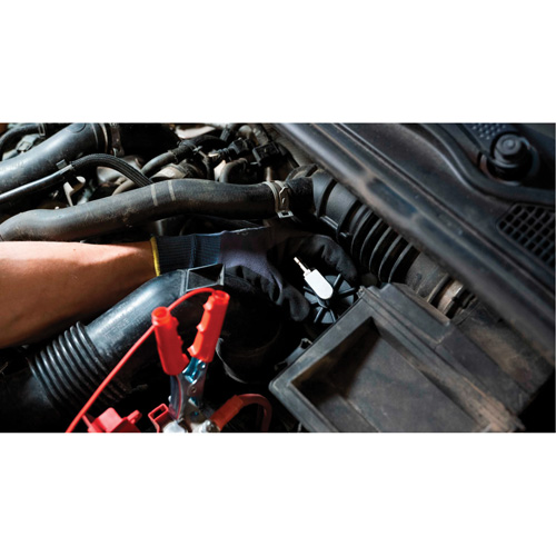 Tall Frame Brake-Pro Pressure Brake Bleeder with Adapters Industrial Sales