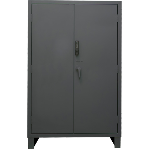 Heavy-Duty Electronic Access Cabinet Industrial Sales