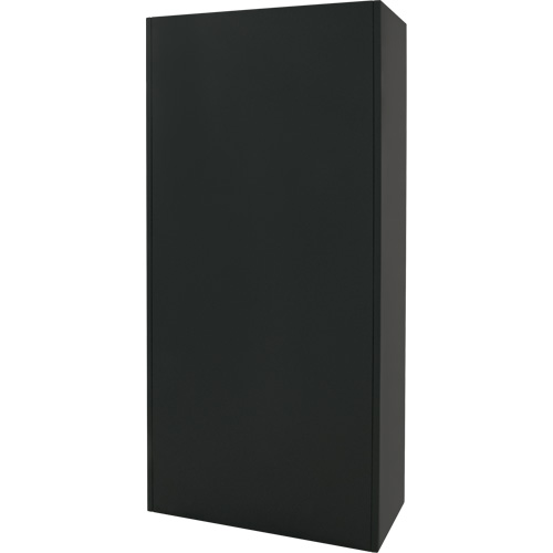 Combination Storage Cabinet, 36" W x 18" D x 72" H, Black Industrial Sales
