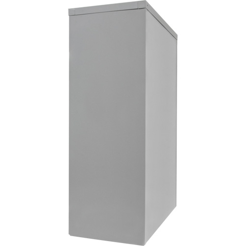Counter-High Storage Cabinet, Steel, 2 Shelves, 42" H x 30" W x 15" D, Grey Industrial Sales