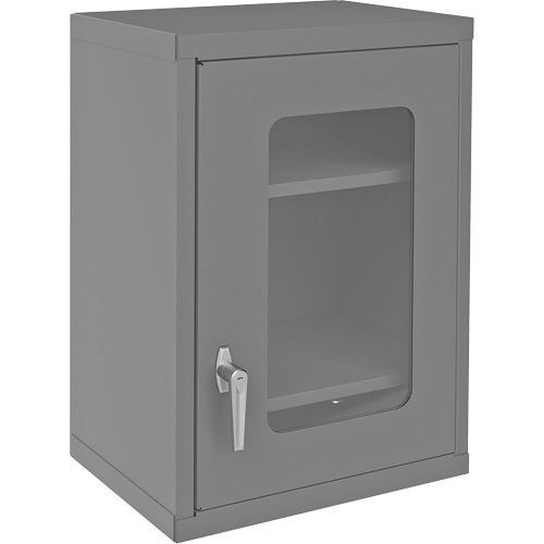 Armoire de rangement murale avec portes transparentes, 26-15/16" h x 18-1/8" la x 13-11/16" p, 2 tablettes, Acier, Gris Industrial Sales