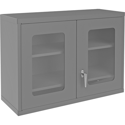 Wall-Mountable Storage Cabinet with Clearview Doors, 26-15/16" H x 35-7/8" W x 13-11/16" D, 2 Shelves, Steel, Grey Industrial Sales