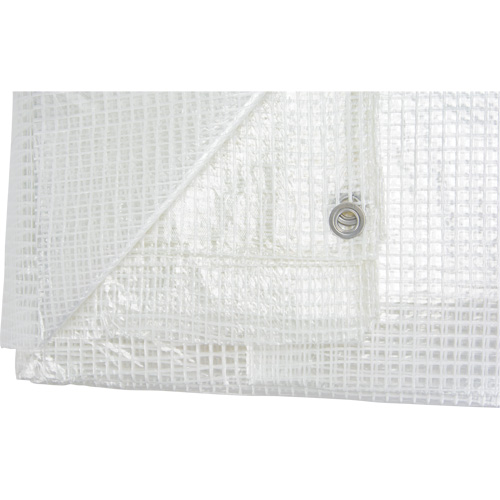 Clear Tarp, 60' x 40' x 8 mils Industrial Sales