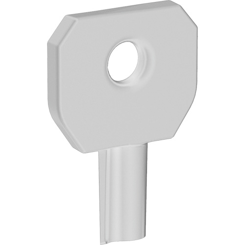 Cl&eacute; pour distributeur Lock or Not Industrial Sales