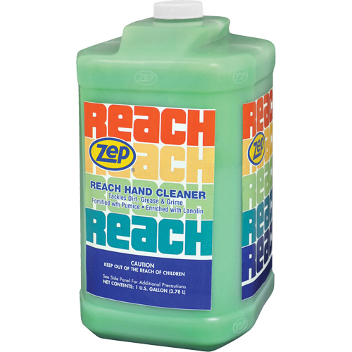 Reach Extra Heavy-Duty Hand Cleaner, Pumice, 3.78 L, Jug, Scented Industrial Sales