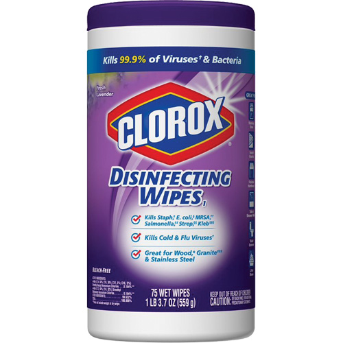 Lingettes d&eacute;sinfectantes, 75 lingettes Industrial Sales