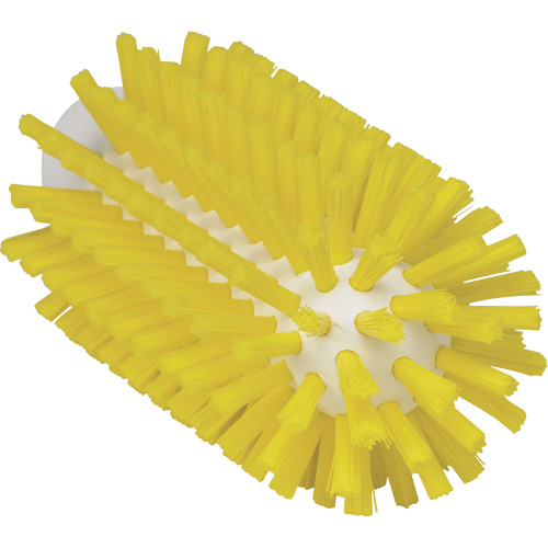 Brosse de 2,5", Soies Ferme, Longueur de 5-3/5", Jaune Industrial Sales