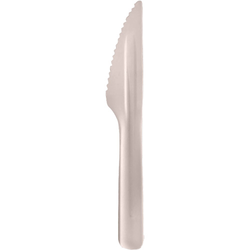 Bagasse Compostable Knives Industrial Sales