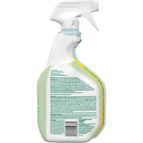 CloroxPro Clorox EcoClean Disinfecting Cleaner, 946 ml, Trigger Bottle Industrial Sales