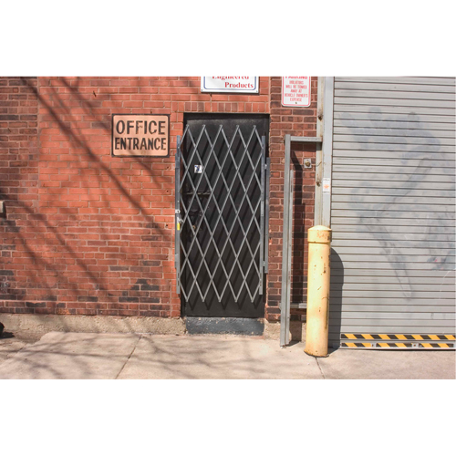 Heavy-Duty Door Gates, Single, 4' L x 6' 3" H Expanded Industrial Sales
