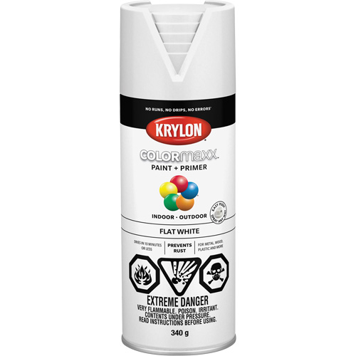 COLORmaxx Paint + Primer, White, Very Flat, 12 oz., Aerosol Can Industrial Sales