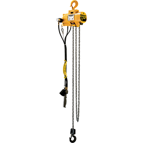 Budgit&reg; Air Chain Hoists Industrial Sales