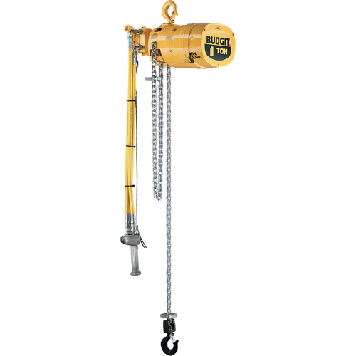 Budgit&reg; Series 6000 Air Hoists Industrial Sales