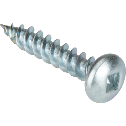 Vis taraudeuse &agrave; t&ecirc;te cylindrique, #10 x 1-1/4" lo, Zingu&eacute; Industrial Sales