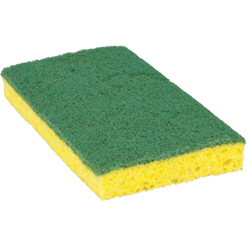 Scotch-Brite Medium Duty Scrub Sponge, Scrubbing, 3-3/5" W x 6-1/10" L Industrial Sales