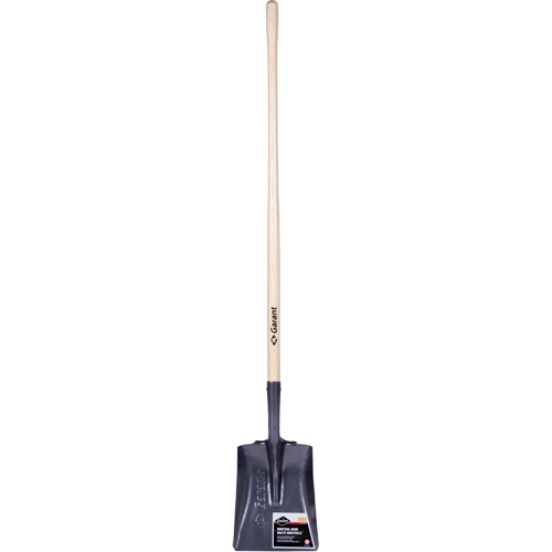 Pelle carr&eacute;e  Pro, Bois, Lame Acier durci, Manche en Droit, Longueur 48" Industrial Sales