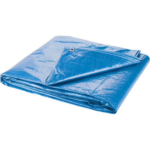 Tarp, Standard Duty, Blue, 7' x 5' x 4 mils Industrial Sales