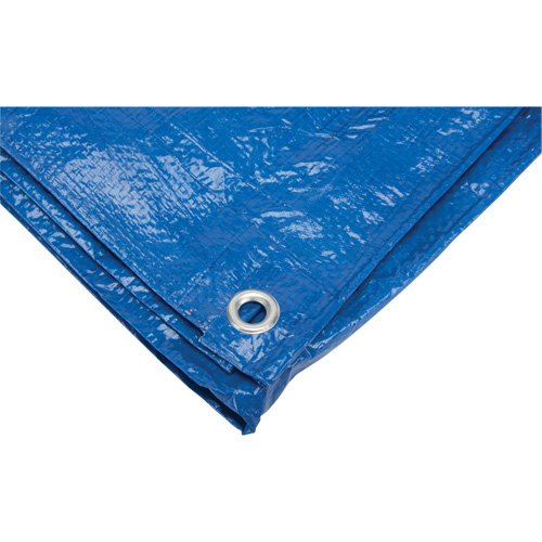 Tarp, Standard Duty, Blue, 7' x 5' x 4 mils Industrial Sales