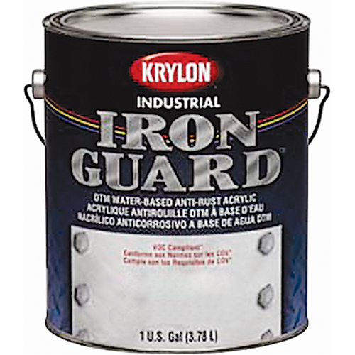 &eacute;mail industriel &agrave; base d'eau Iron Guard, Canette, Gris Industrial Sales
