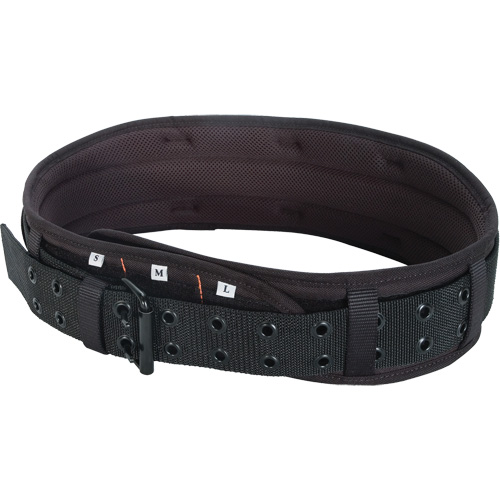 Tool Belt, Leather, Black Industrial Sales