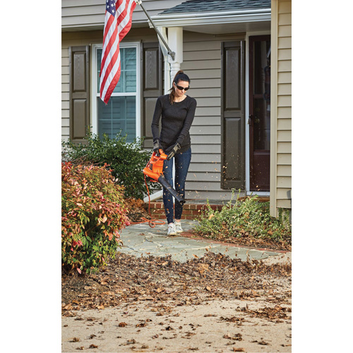 3-in-1 VacPack Leaf Blower/Vacuum/Mulcher, 250 MPH Output, Electric Industrial Sales