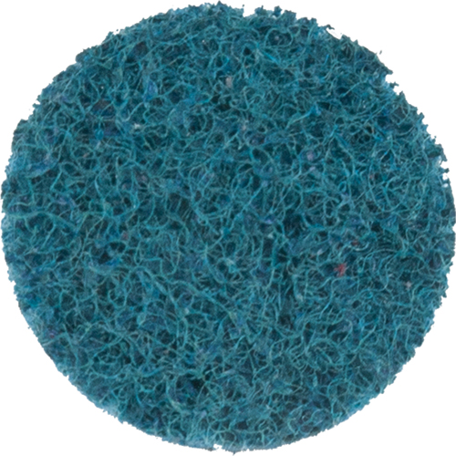 Disque de conditionnement de surface Scotch-Brite Roloc, 1" dia. Industrial Sales