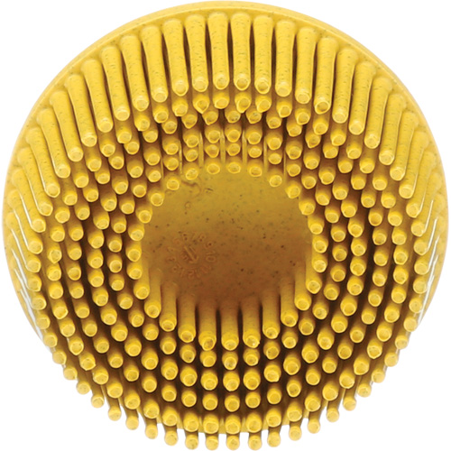 Scotch-Brite Roloc Bristle Disc, Ceramic, Medium Grit, 2" Dia. Industrial Sales