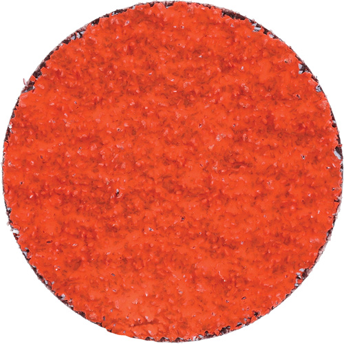 Blaze R980P Quick-Change Cloth Disc, 2" Dia., 36 Grit, Ceramic Alumina Industrial Sales