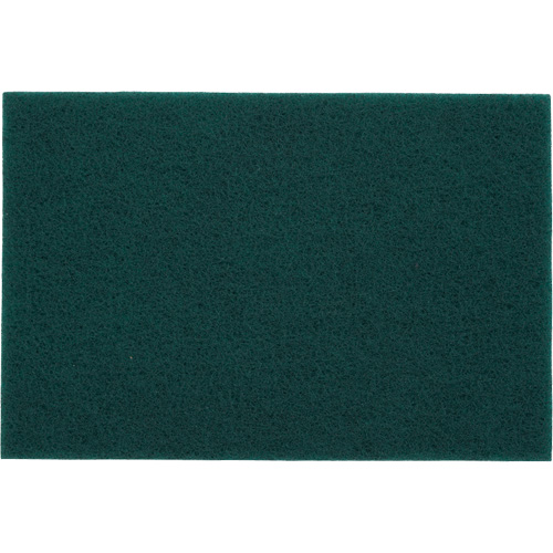 Tampons manuels Bear-Tex, Oxyde d'aluminium, 6" x 9", Grain Tr&egrave;s fin Industrial Sales