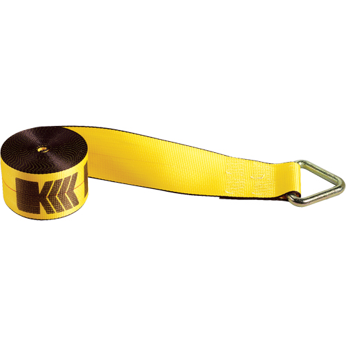 Tendeurs d'arrimage pour treuil, Anneau delta, 4" , 30' , Charge d'utilisation max. 5400 lb (2450 kg) Industrial Sales
