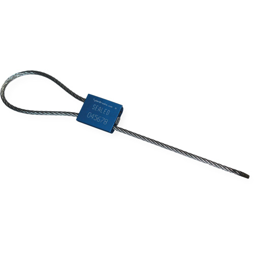 Scell&eacute; de s&eacute;curit&eacute; &agrave; c&acirc;ble Flexsecure FS35, 12", M&eacute;tal, Scell&eacute; &agrave; c&acirc;ble Industrial Sales