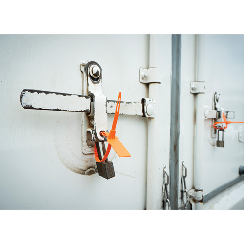 Scell&eacute; de s&eacute;curit&eacute;, 7-3/4", Plastique, Scell&eacute; pour camion Industrial Sales