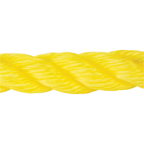 Corde jaune tress&eacute;e, Polypropyl&egrave;ne, 300' Industrial Sales