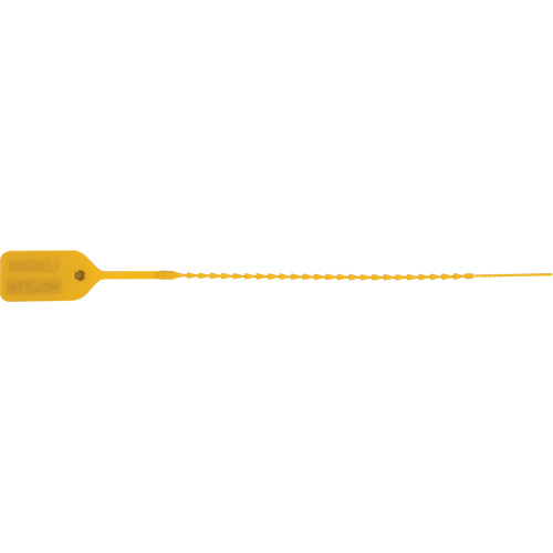 Scell&eacute; de s&eacute;curit&eacute; standard, 9", Plastique, Pousser et tirer Industrial Sales