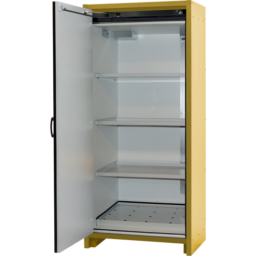 Armoire d'entreposage 30 minutes s&eacute;curitaire et conforme &agrave; la norme EN, 30 gal., 1 Porte(s), 34,02" La x 76,65" h x 24,21" p Industrial Sales